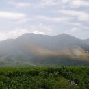 양지촌경로당 이미지