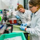 뉴로메디 이미지