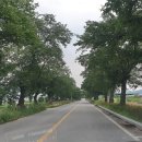 의평낚시터 이미지