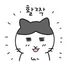 교촌치킨궐동점