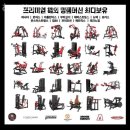 헬스보이짐앤필라걸분당