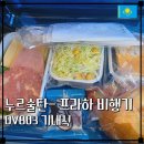 803 | [카자흐스탄 누르술탄 프라하 비행기] DV803 기내식 후기