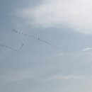 다윈하우스 이미지