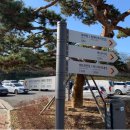 보조축구장 이미지