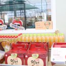 신정현농장 이미지