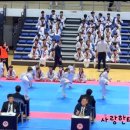사랑한태권도 이미지