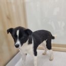 팔산리마을회관 이미지