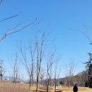 팔용근린공원 이미지