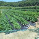 행정 다기능회관 이미지