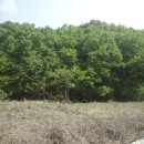 고개로주유소 이미지