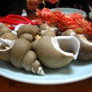 막내회센타 이미지