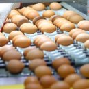 김중현 농장 이미지