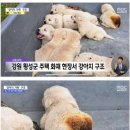 나는음악