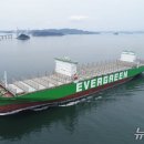 디지탈에버그린 이미지