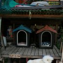 별자리농원 이미지