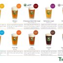 트레비어 이미지