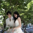 유하 네이버블로그