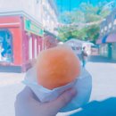[도쿄일상] 180514월요일, 후지큐하이랜드, 도쿄근교여행, 도쿄근교놀이공원, 신주쿠 아시안맛집...