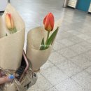 호랭이꽃집 이미지