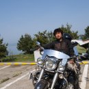 염포야영장 이미지