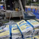 전주서원초등학교 이미지