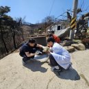 의성동물병원 이미지