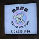 멍플레이 | 노원역 데이트 멍플레이 애견카페 강아지 호텔