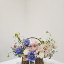 라메르블룸 이미지