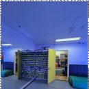 용인대수석태권도 이미지