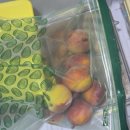 매향농장 이미지