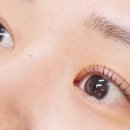 래쉬온(LASH ON)
