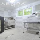 힐링퍼피 이미지
