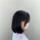모이살롱