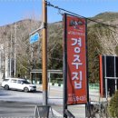 싱싱오리 이미지