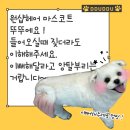 원샵헤어(1#헤어) 이미지