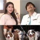 알콩달콩 이미지