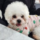 독크루 첨단점 이미지