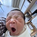 고통 없이 사는 방법!♥♥ 이미지