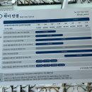 양지안경
