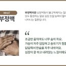 순환한의원 이미지