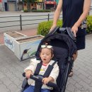 생각담은공간 | 당근에서 이 유모차보면 무조건 땡기세요! 일본여행 딱 좋은 유모차 추천 [유모차 회사 관계자가 봤으면...