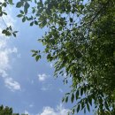 야전농수산 | 6월의 캠핑 | 강원도 원주 계곡 캠핑장 후기 | 캠핑음식 추천