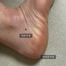 세린약국 이미지