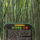 공개정원 | 울산 여행 만족도 1위! 태화강국가정원 주차장 산책 후기 가볼만한곳