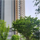 센텀탑부동산공인중개사사무소 네이버블로그