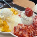 송재호 | 내가 당신을 사랑하는 것 처럼