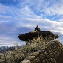 광양농원 이미지