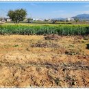 현비뇨기과의원 이미지