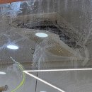 랄라키즈오감카페 이미지