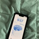 블루무드 이미지